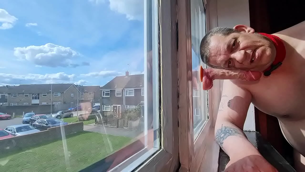 i love to humiliate myself to get cock even if it means doing it where people can see